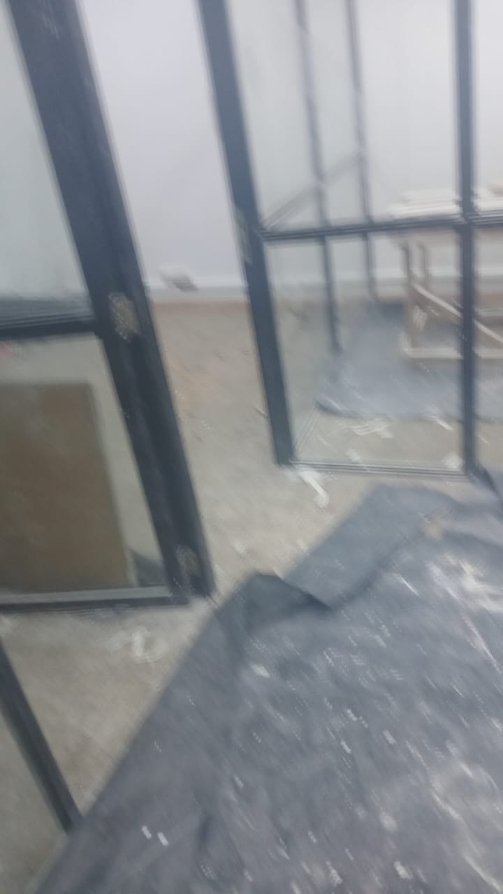 Carpet Before Cleaning